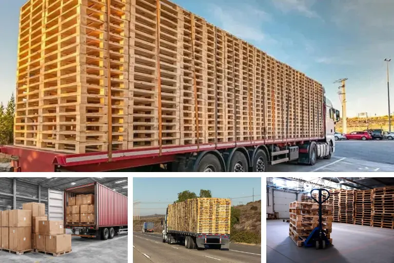 NAAWT Fast & Reliable Pallet Delivery Across the UAE